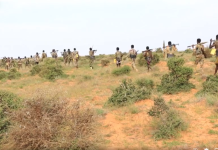 Ciidanka Xoogga iyo kuwa Galmudug oo dardargaliyay howlgallada ka dhanka ah khawaarijta