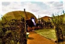 SHEEKADII EEDDO MAAD ISKA JOOGTID!