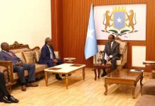 Wasiir Cali Balcad oo warqadaha aqoonsiga danjiranimo ka guddoomay Safiirka cusub ee Kenya