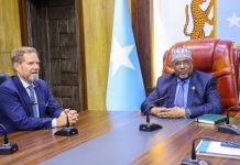 Maxay kawada hadleen Guddoomiye Aadan Madoobe & Safiirka Sweden ee Soomaaliya?