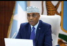 Ra’iisul Wasaaraha oo ka hadlay ahmiyadda heshiiska Soomaaliya iyo Turkiga