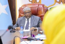 Guddoomiyaha Golaha Shacabka oo ka tacsiyeeyay Sarakiisha Imaaraatka ee ku dhintay Weerarkii Muqdisho