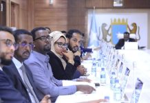 Golaha Wasiiradda oo Ansixiyey 10 Safiir oo dalalka Caalamka uga hawlgeli doona Soomaliya