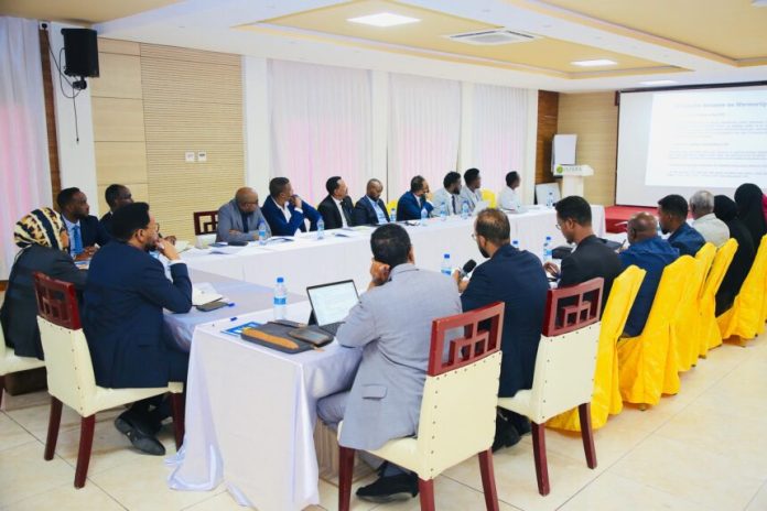 Shirka-21-aad-ee-wasiiradda-maaliyadda-DFS-iyo-dowlad-goboleedyada-oo-Muqdisho-ka-furmay-11-860x573