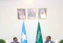 Wasiirka shaqada oo la kulmay safiirka Sucuudiga