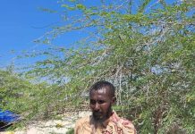 Ciidanka xoogga iyo kuwa deegaanka oo gacanta ku dhigay horjooge ku sugnaa Galmudug