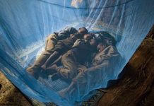 Boqolaal qof oo cudurka duumada ugu dhimatay Itoobiya