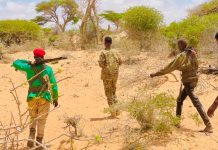 Ciidanka dowladda oo howlgallo la dhanka Khawaarijta ka sameeyey gobolka Mudug