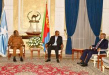 Madaxweynaha JFS oo kulan la qaatay dhiggiisa Eriteriya
