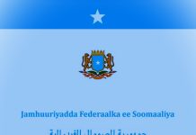 DHAGEYSO:-Warbixin ka hadlaysa wax ka beddelka iyo dib u Eegista Dastuurka