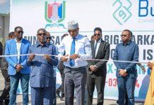 Ray’iisul Wasaare Xamsa oo xarigga ka jaray waddo muhiim ah