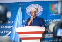 Wasiir Fiqi: waa la dhamaystirayaa Dastuurka