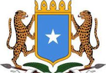 Shacabka Soomaaliyeed oo soo dhoweeyey dhamaystirka Dastuurka