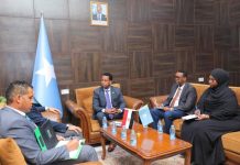 Wasiir kuxigeenka Arrimaha Dibadda XFS oo kala hadlay Safiirka Masar qoto-dheeraynta Iskaashiga labo geesoodka