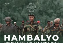 Ra’iisul wasaare Xamse oo ugu hambalyeeye ciidanka xoogga dalka sanad guurada 64-aad