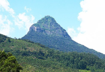 QISADII NABI AADAM CS (QEYBTA 3-AAD)