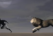 SHEEKO: TODDOBA DILE MAXAA QABSADAY?