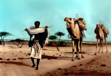 NOLOL IYO DHAQAN WAA LABA IS HAREER YAAL