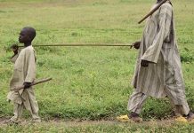 SHEEKO: NINKII INDHOOLAHA AHAAN JIRAY