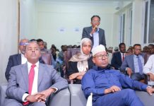 Machadka Diblomaasiyadda DFS oo laga soo bandhigay sababaha keenay damaca Ethiopia