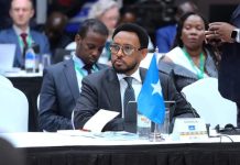 Wasiirka Maaliyadda XFS oo ka qeyb galay shirka 21-aad ee Hayโadda Horumarinta Bangiga Adduunka