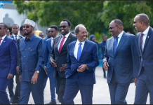WAR-MURTIYEED KU SAABSAN XIRIIRKA DFS IYO DOWLAD GOBOLEEDYADA