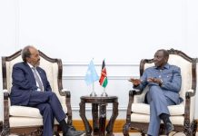 MW Xasan Sheekh oo dhiggiisa dalka Kenya kala hadlay amniga xuduudaha labada dal