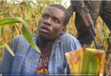 Faah faahinno ka soo baxaya dagaal ciidanka dowladda iyo kuwa Jubbaland ay ku qaadeen khawaarijta