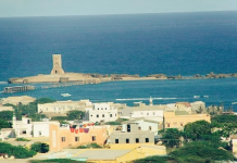 AROOSKA REER BARAAWE MUXU KAGA DUWANAA AROOSYADA SOOMAALIDA KALE?