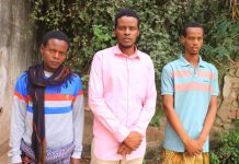 Maleeshiyaad ka tirsan Khawaarijta oo isku soo dhiibay ciidanka nabad sugida iyo sirdoonka qaranka