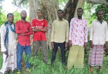 Xubno ka tirsan Khawaarijta oo isku soo dhiibey Ciidanka Nabad-sugidda koonfur Galbeed.