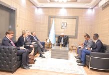 Wasiirka Arrimaha Dibadda XFS oo qaabilay wafdi ka socda Jarmalka