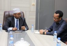 Dowladda oo dib u habayn ku samaynaysa qaadashada Baasaboorka shaqaalaha iyo kan diblomaasiga