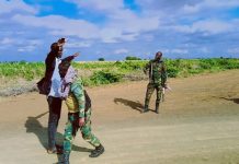 Cali Dheer oo tirsana Khawaarijta ayaa isku soo dhiibay Laamaha Amniga Goof-gaduud