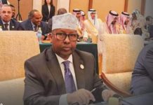 Wasiirka Arrimaha dibadda oo ka qeyb galay shirka madasha Shiinaha iyo Carabt