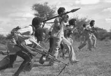 SOOMAALIYA LOOMA HANJABO, DAGAALNA LOOMA TILMAAMO