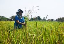 BEERASHADA CUDBIGA IYO BARIISKA AYAA DOOR WACAN KA QAADAN KARA DALKA