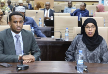 Golaha Aqalka sare ee BFS oo maanta ansixiyay Hindise Sharciyeedka Xisaabiyayaasha Soomaaliyeed