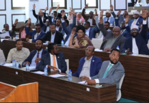 Golaha Shacabka oo ansixiyay hindise sharciyeedka ilaalinta naafada