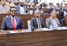 Guddoomiye Aadan Madoobe oo guddoomiyay kulan looga dooday xeerka shaqada