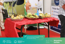 Maalgashato ka socoto Dalka Ciraaq oo Muqdisho dhawaan ku soo wajahan