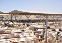 MAXAYNU DUNIDA U DHOOFIN KARNAA