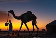 MUSAAFURKII LA MARTI SOORAY