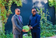 Wasiir Maareeye “Qofka maanta heysta 30 tallaabo wax badan ayuu ku beeran karaa.”