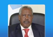 Madaxweyne Xasan Sheekh oo magacaabay lataliyaha arrimaha ciidamada