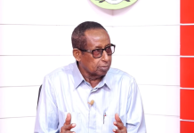 Muhiimad intee la’eg ayuu leeyahay iskaashiga amniga ee dowladaha Soomaaliya iyo Masar?