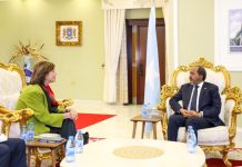 Madaxweyne Xasan Sheekh oo qaabilay safiirka Midowga Yurub