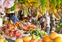 KHEYRAADKA DABIICIGA AH EE SOOMAALIYA