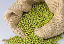 SALBUKADA CAGAARAN IYO FAA’IIDOOYINKA LAGA HELO