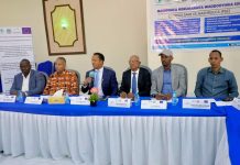 Shir ku saabsan dhismaha waddooyinka dalka oo Muqdisho lagu soo gabangabeeyey